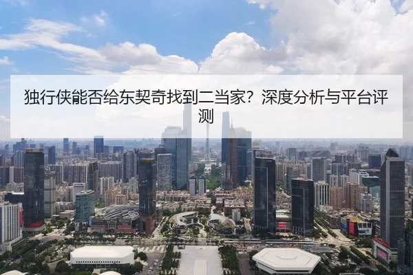 独行侠能否给东契奇找到二当家？深度分析与平台评测