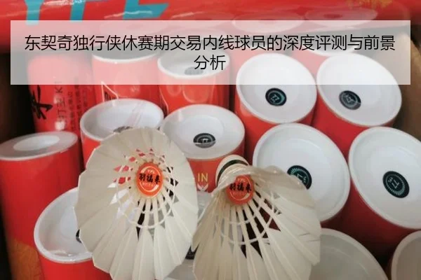 东契奇独行侠休赛期交易内线球员的深度评测与前景分析