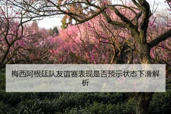梅西阿根廷队友谊赛表现是否预示状态下滑解析